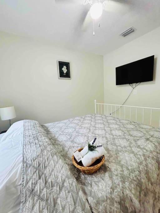 Villa Vintage Family Scape + Heated Pool&Discount Tampa Esterno foto